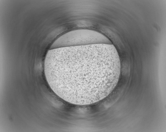 X0000110730405200907241231