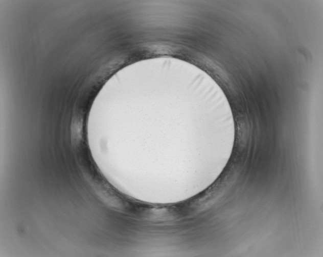 X0000110730406200907241231