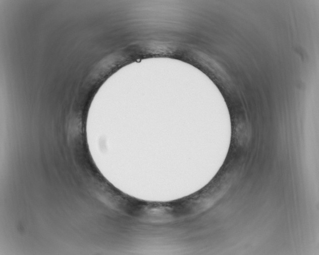 X0000110730407200907241231