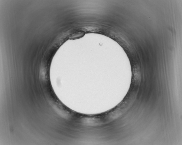 X0000110730408200907241231