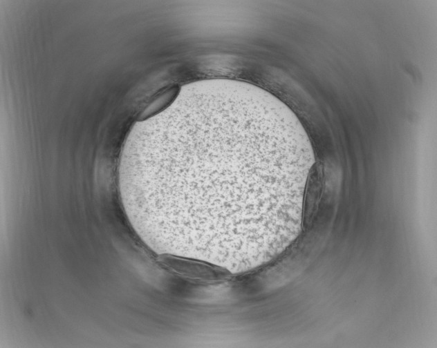 X0000110730409200907241231