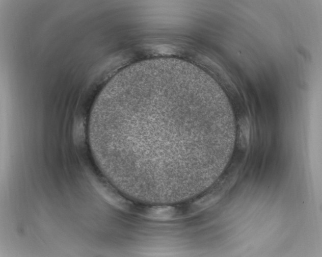 X0000110730410200907241231