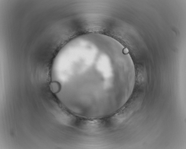 X0000110730411200907241231