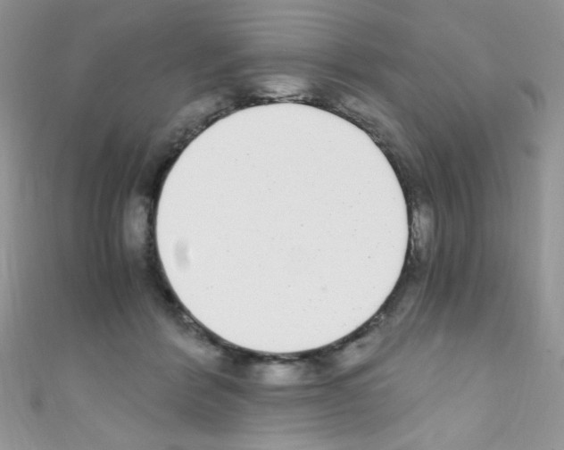 X0000110730412200907241231