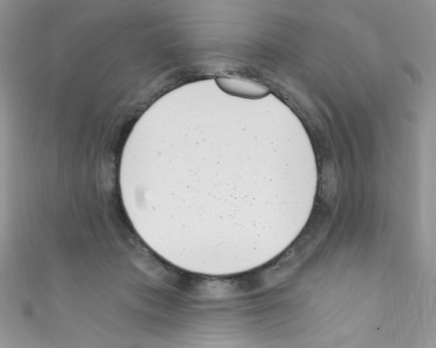X0000110730413200907241231
