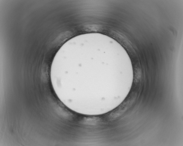 X0000110730414200907241231