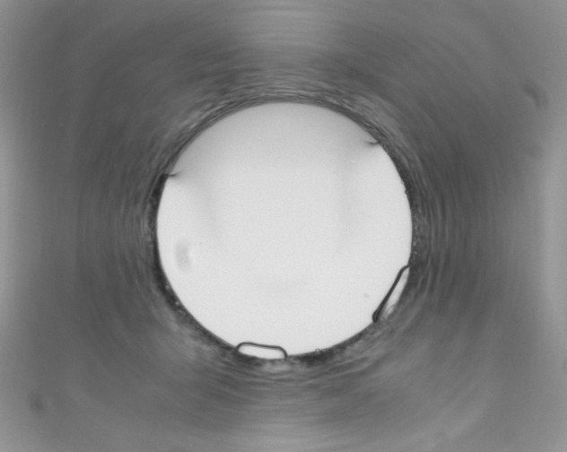 X0000110730415200907241231