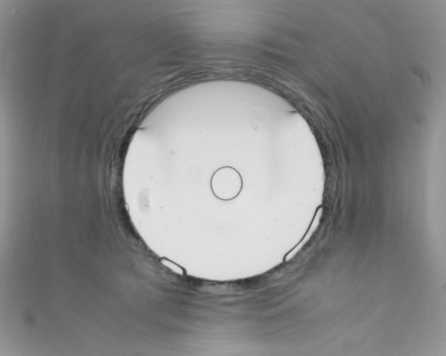 X0000110730417200907241231