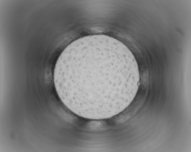 X0000110730418200907241231