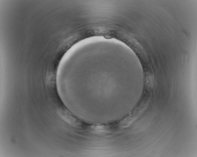 X0000110730419200907241231