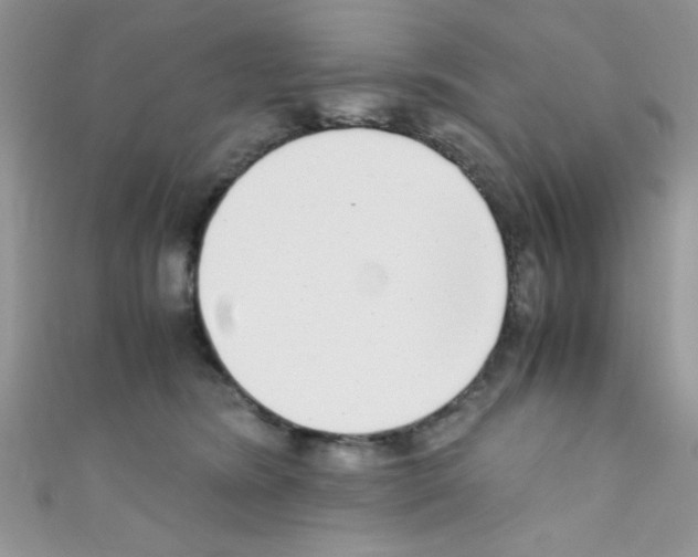 X0000110730420200907241231