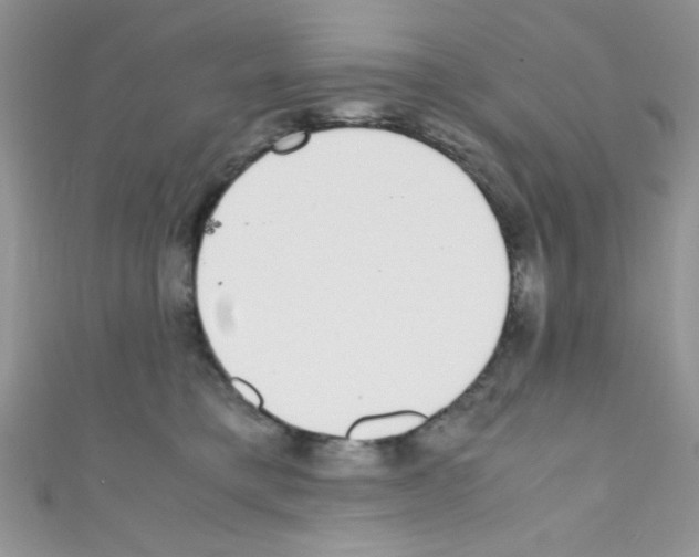 X0000110730421200907241231