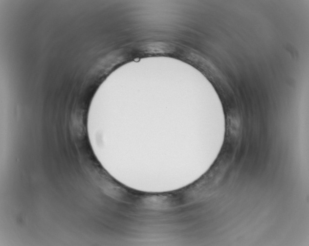 X0000110730422200907241231