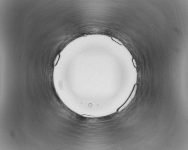 X0000110730423200907241231