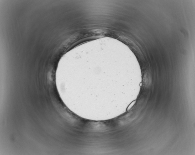 X0000110730424200907241231