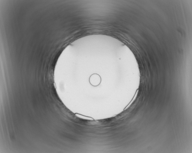 X0000110730425200907241231