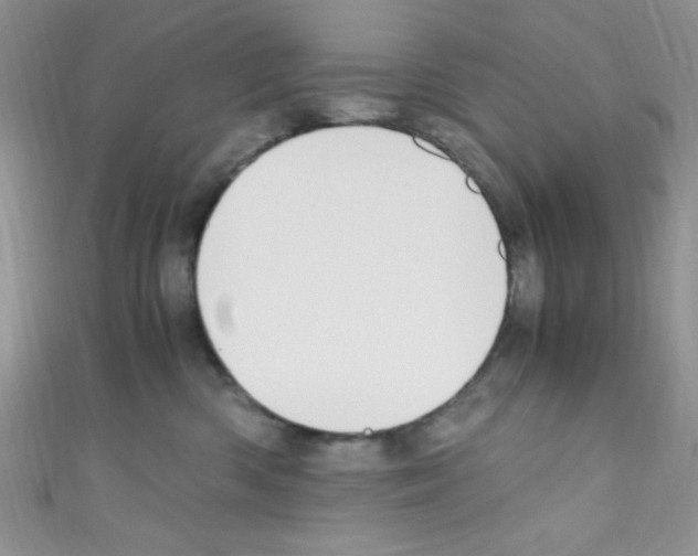X0000110730426200907241231