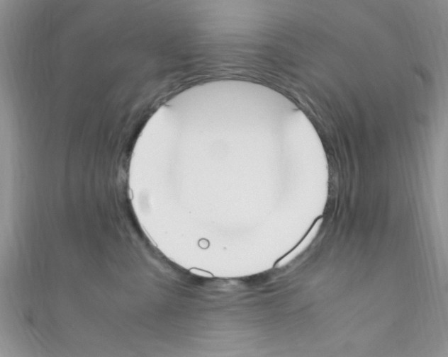 X0000110730427200907241231