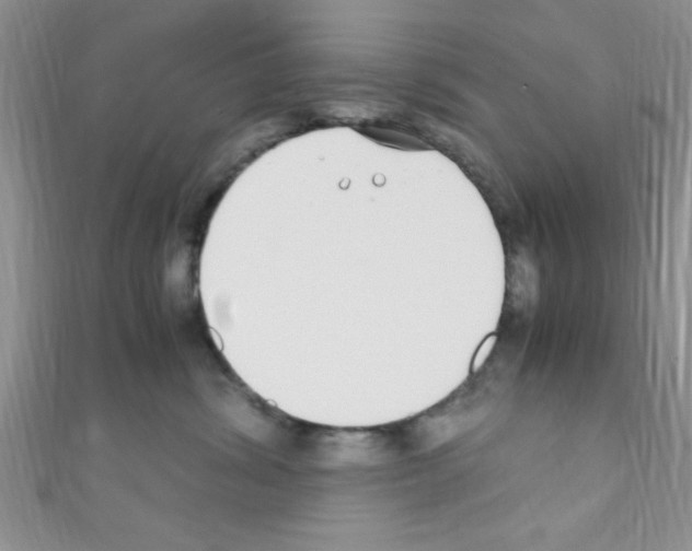 X0000110730428200907241231