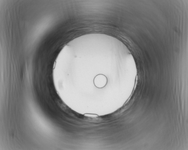 X0000110730429200907241231