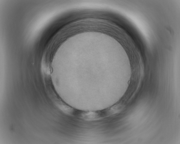 X0000110730431200907241231