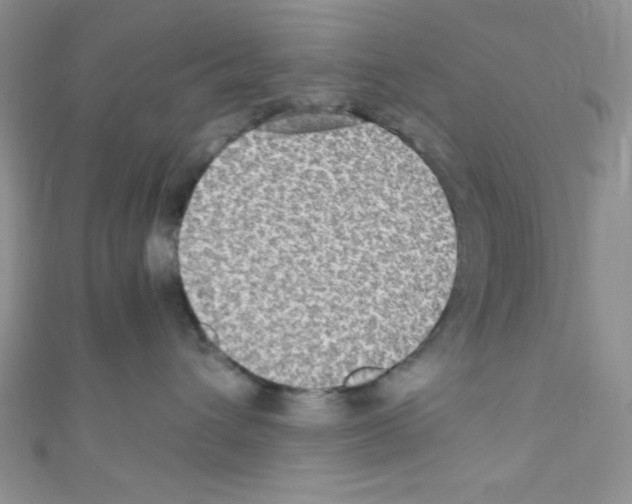 X0000110730432200907241231