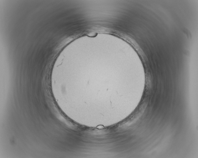 X0000110730433200907241230