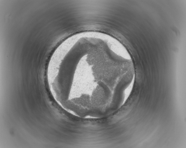 X0000110730434200907241230