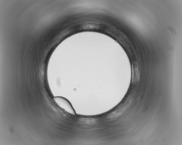 X0000110730435200907241230