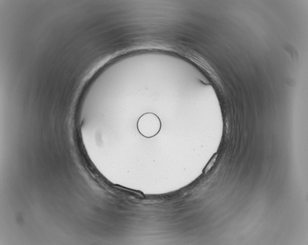 X0000110730436200907241230