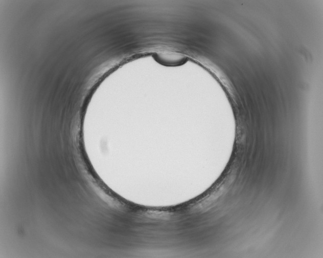 X0000110730437200907241230