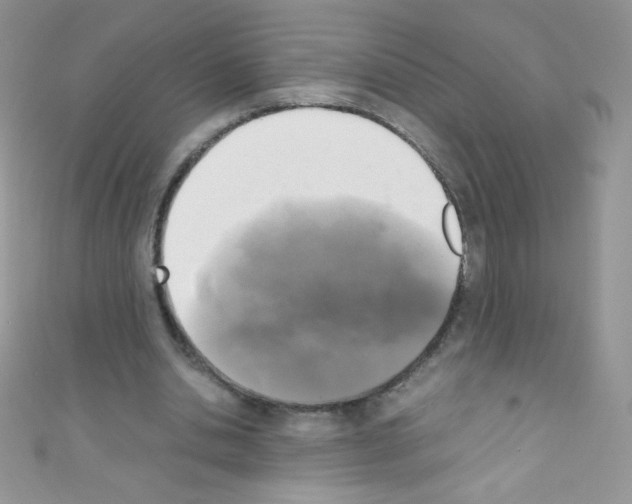 X0000110730438200907241230