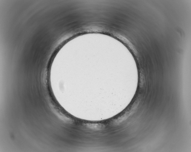 X0000110730439200907241230
