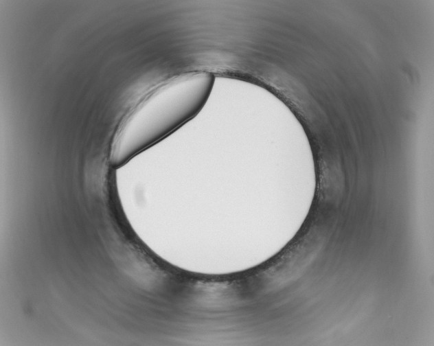 X0000110730440200907241230