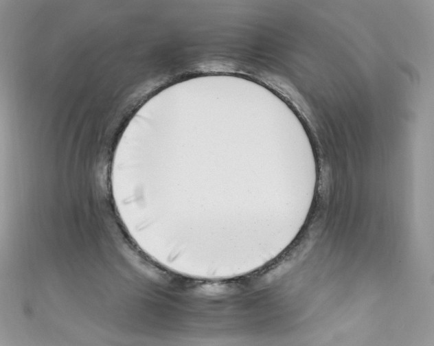 X0000110730441200907241230