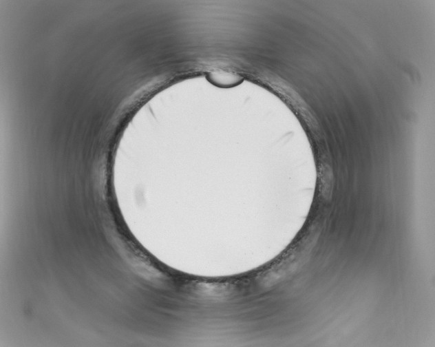 X0000110730442200907241230
