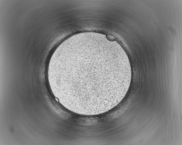 X0000110730443200907241230