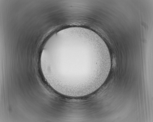 X0000110730444200907241230