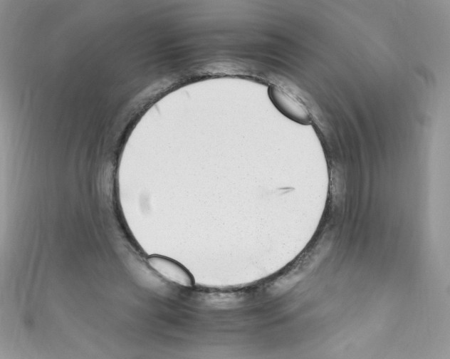 X0000110730445200907241230