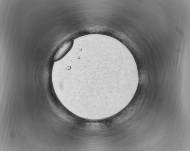X0000110730448200907241230