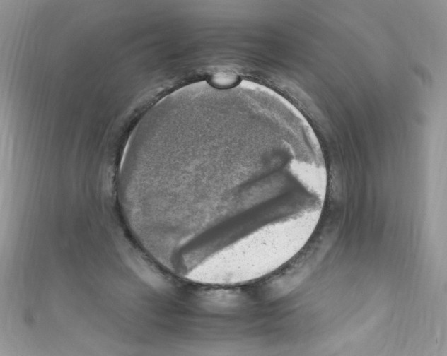 X0000110730449200907241230