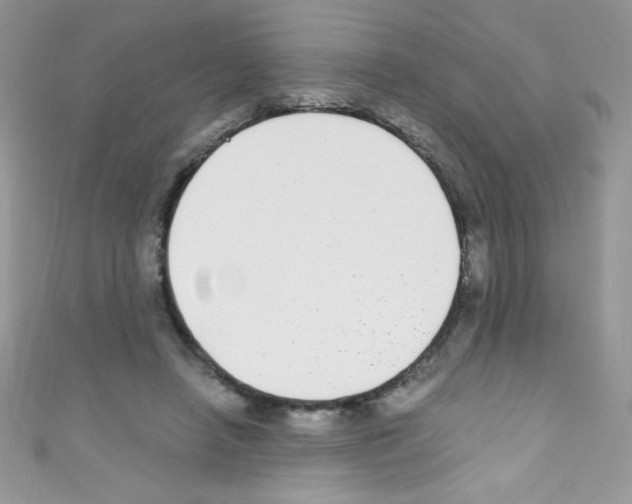 X0000110730450200907241230