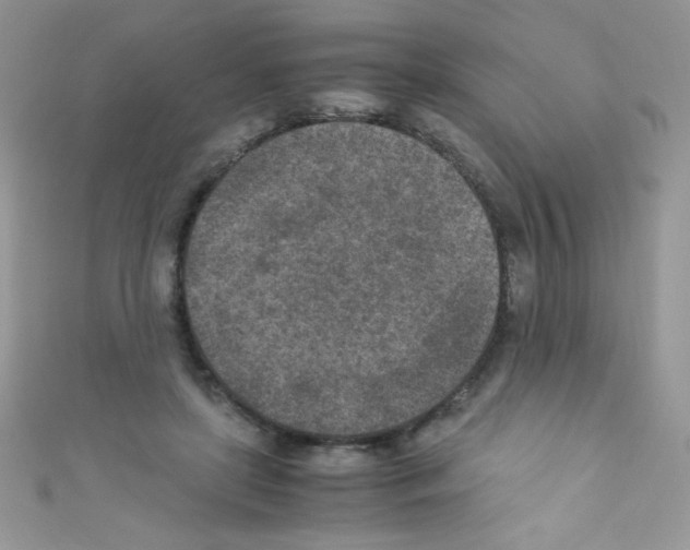 X0000110730451200907241230