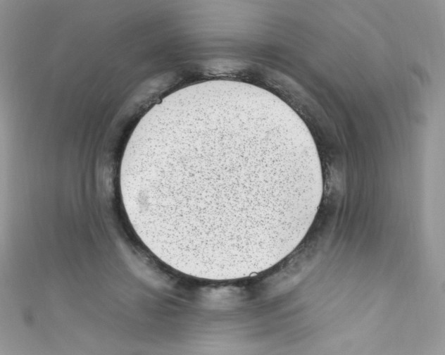 X0000110730452200907241230