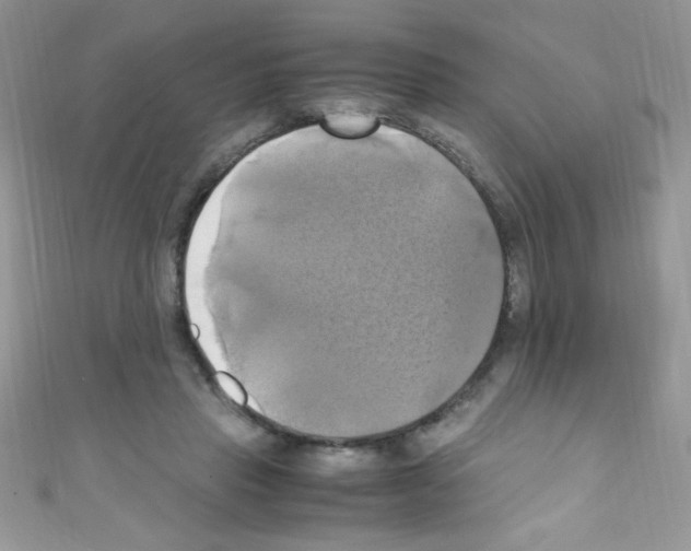 X0000110730453200907241231