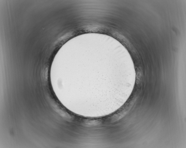 X0000110730454200907241231
