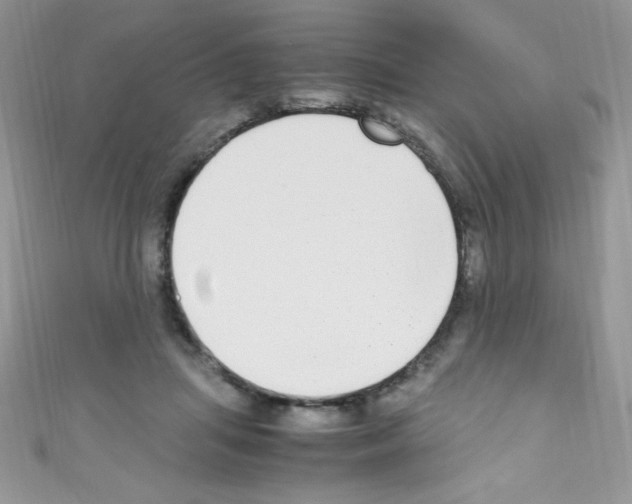 X0000110730455200907241231
