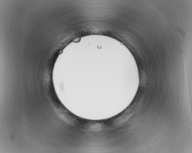 X0000110730456200907241231