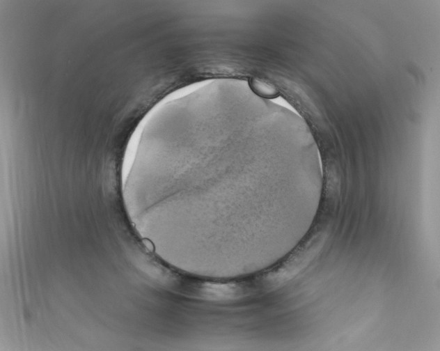 X0000110730457200907241231