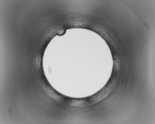 X0000110730458200907241231